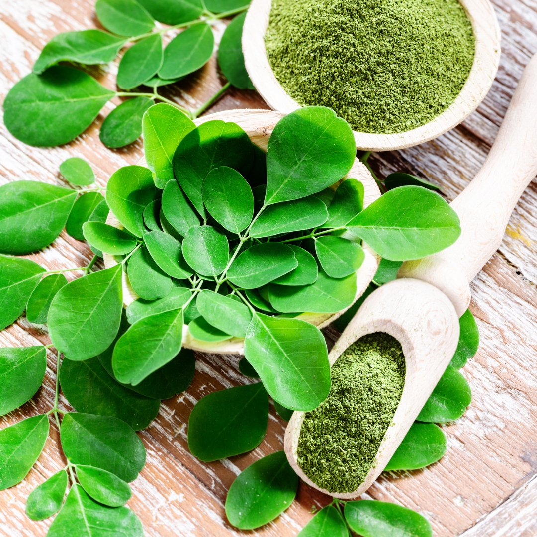 MORINGA PURE - 100 % Natural - 60 Capsules